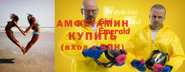 индика Михайловка