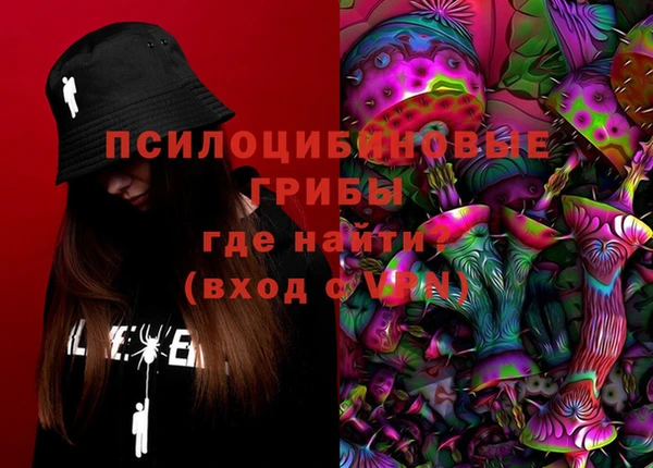 индика Алзамай