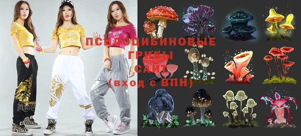 индика Михайловка