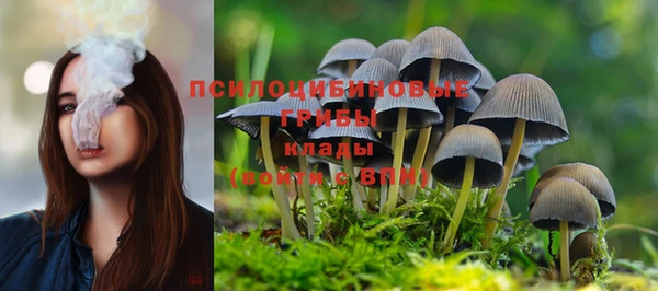 мдпв Медногорск