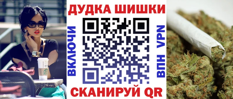Конопля сатива Дудинка